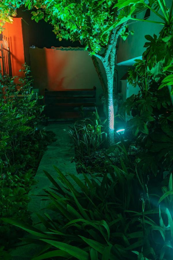 The House Dimitra Nea Fokaia Villa ภายนอก รูปภาพ