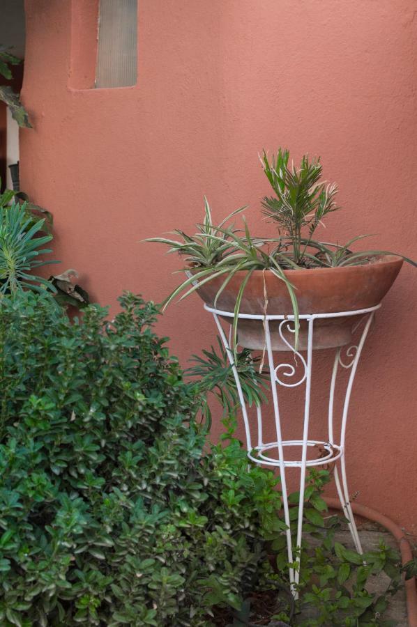The House Dimitra Nea Fokaia Villa ภายนอก รูปภาพ